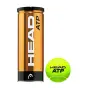 картинка Теннисные мячи Head ATP 