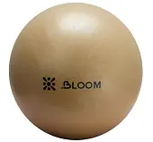Мяч LiveUp LB7000 для пилатеса 30 см от магазина Супер Спорт
